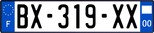 BX-319-XX