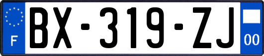 BX-319-ZJ