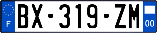 BX-319-ZM