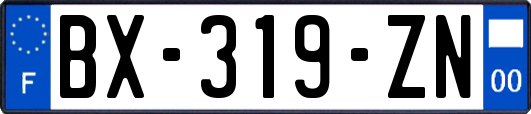 BX-319-ZN