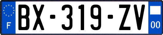 BX-319-ZV