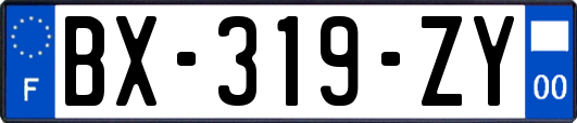 BX-319-ZY