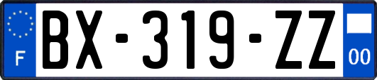 BX-319-ZZ