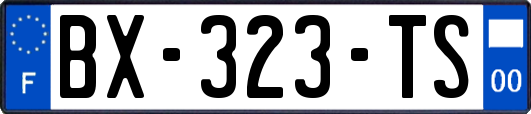 BX-323-TS