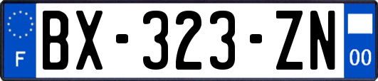 BX-323-ZN