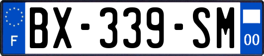 BX-339-SM