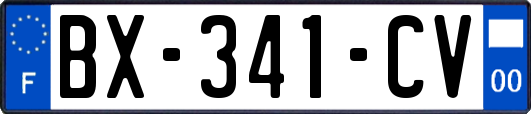 BX-341-CV