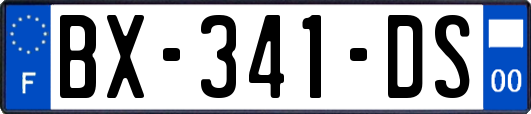 BX-341-DS