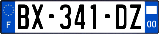 BX-341-DZ