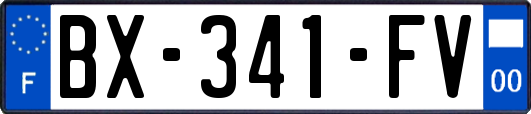 BX-341-FV