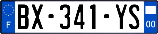 BX-341-YS