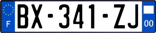 BX-341-ZJ