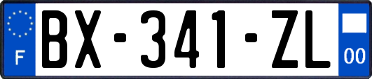 BX-341-ZL