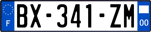 BX-341-ZM