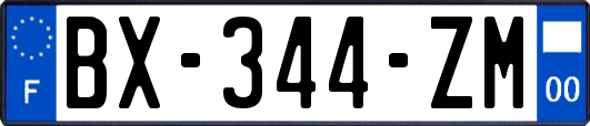 BX-344-ZM