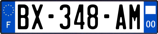 BX-348-AM