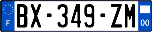 BX-349-ZM