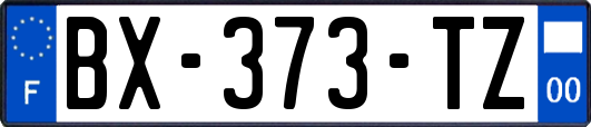 BX-373-TZ