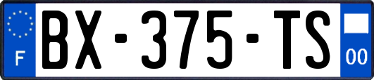 BX-375-TS