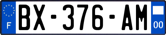 BX-376-AM