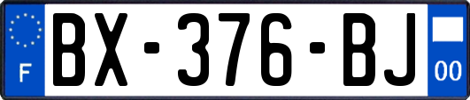 BX-376-BJ