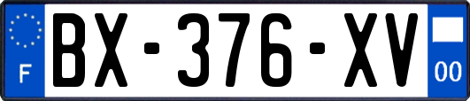 BX-376-XV