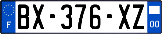 BX-376-XZ