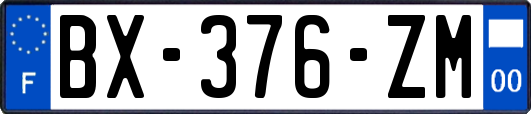 BX-376-ZM