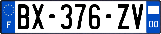 BX-376-ZV