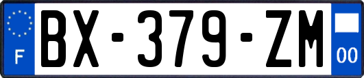 BX-379-ZM