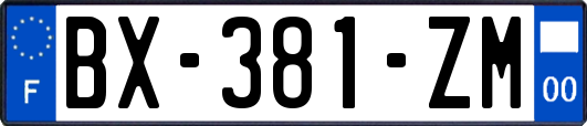 BX-381-ZM