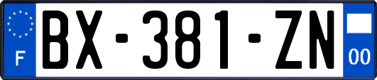 BX-381-ZN