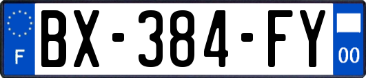 BX-384-FY