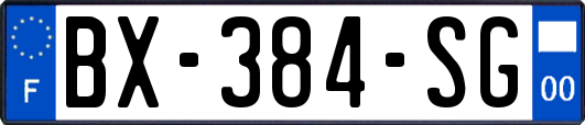 BX-384-SG