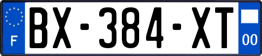 BX-384-XT