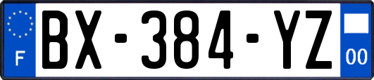 BX-384-YZ