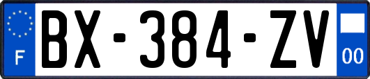 BX-384-ZV
