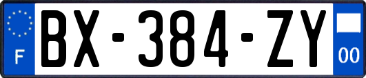 BX-384-ZY