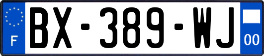 BX-389-WJ