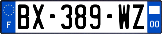 BX-389-WZ