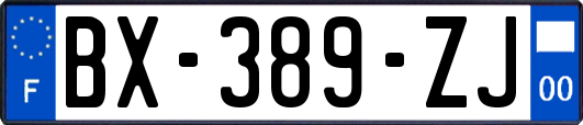 BX-389-ZJ