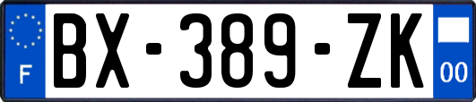 BX-389-ZK