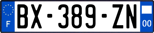 BX-389-ZN