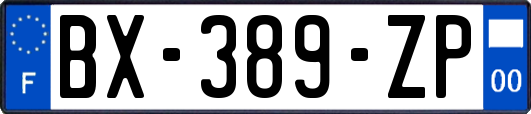 BX-389-ZP