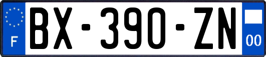 BX-390-ZN