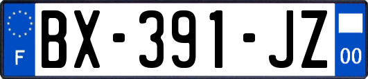 BX-391-JZ