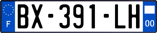 BX-391-LH
