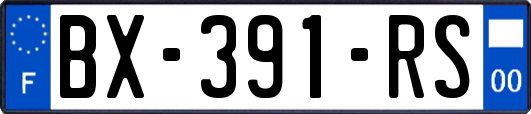 BX-391-RS