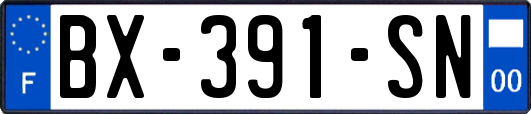 BX-391-SN