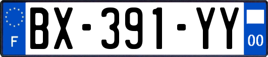 BX-391-YY